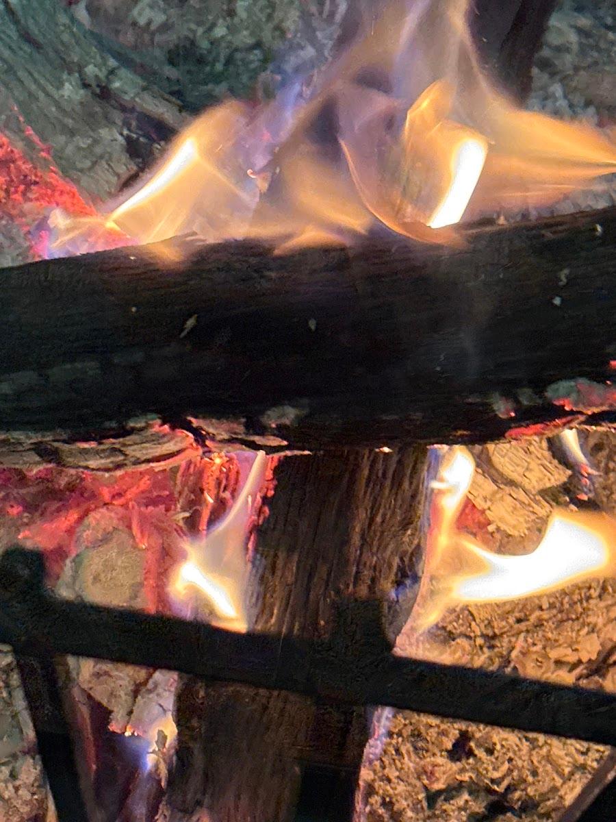 AAROHAM RETREAT – photo 4