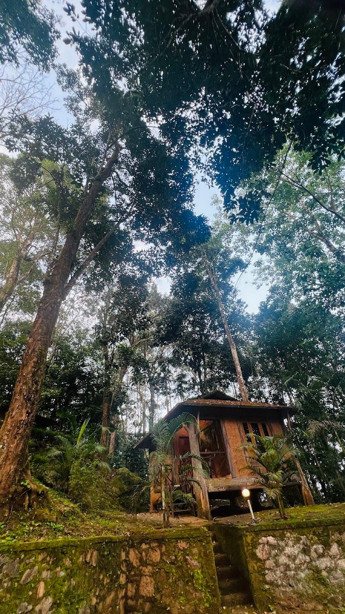 Vythiri Wild Resort, Wayanad resort – photo 3