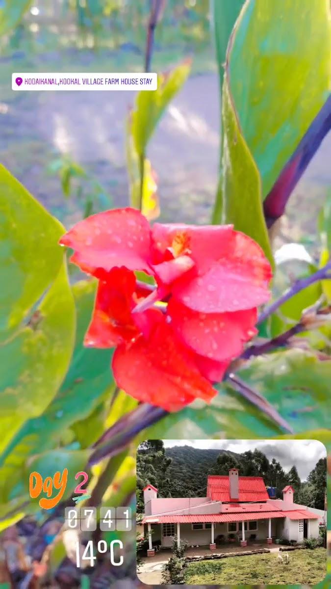 Kookal Paradise – photo 3
