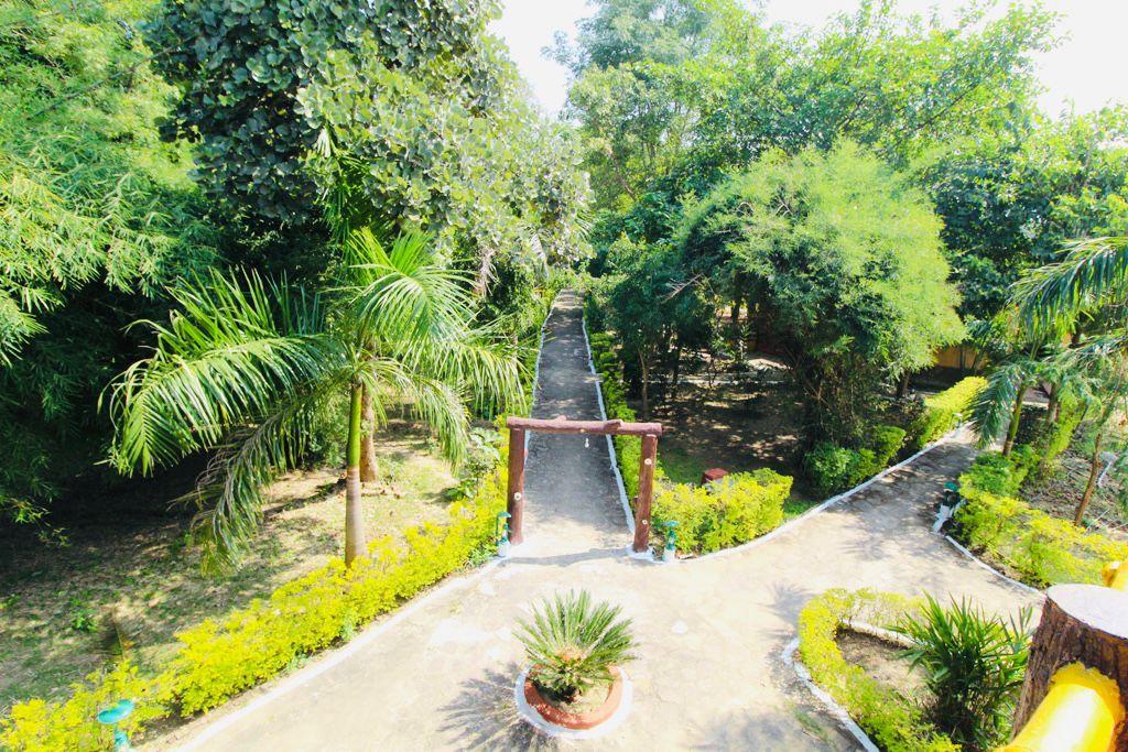 Tiger Inn Resort Bandhavgarh – photo 4