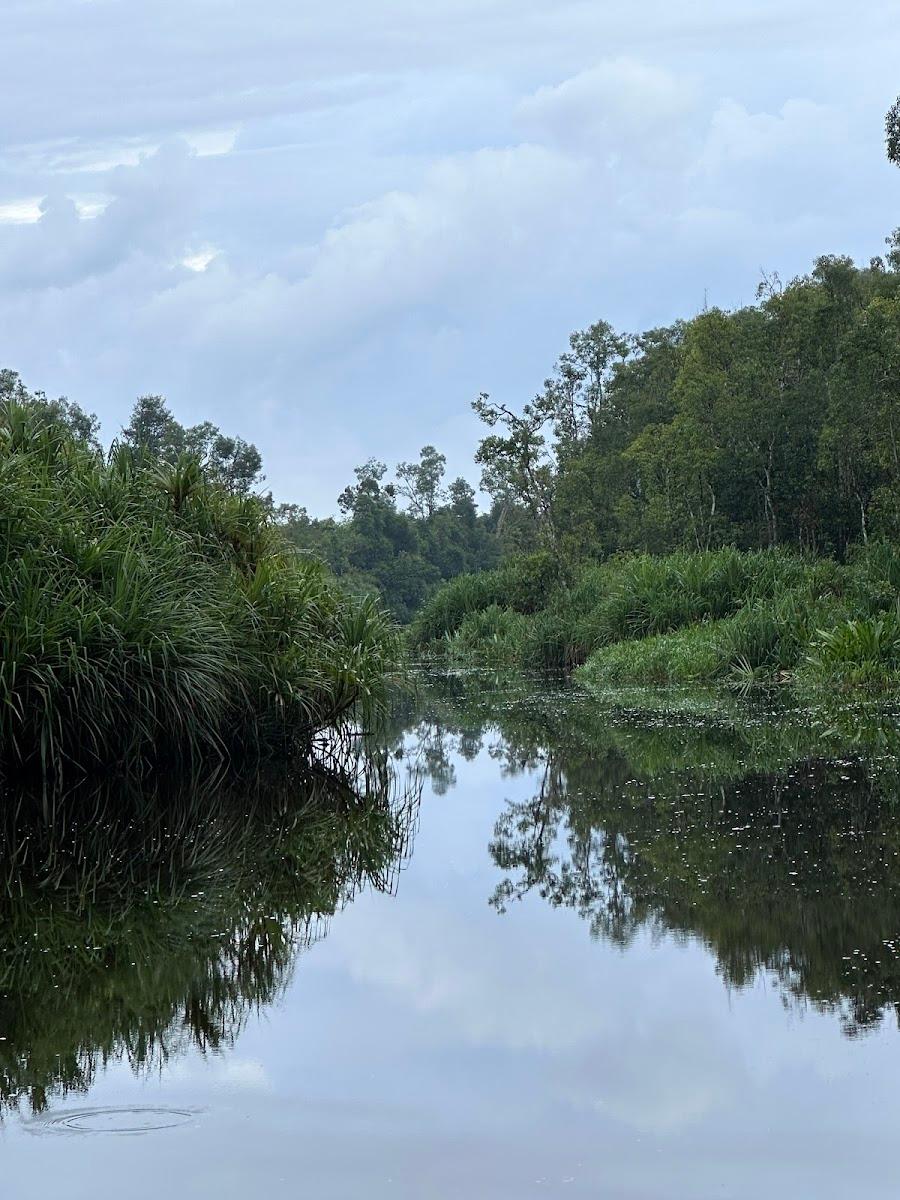 Rimba Orangutan Ecolodge – photo 4