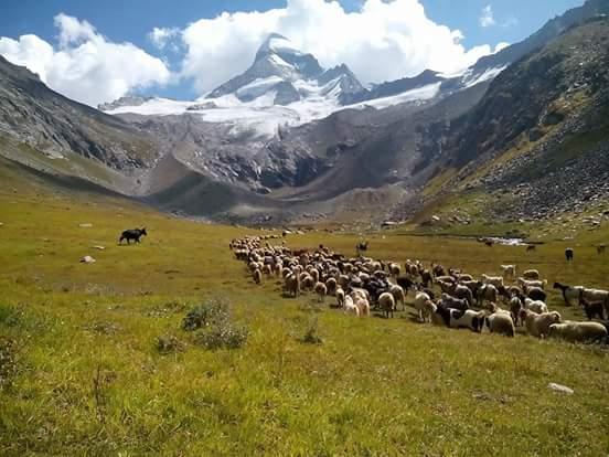 Pangi valley Home stay (Hudan Bhatori) – photo 3
