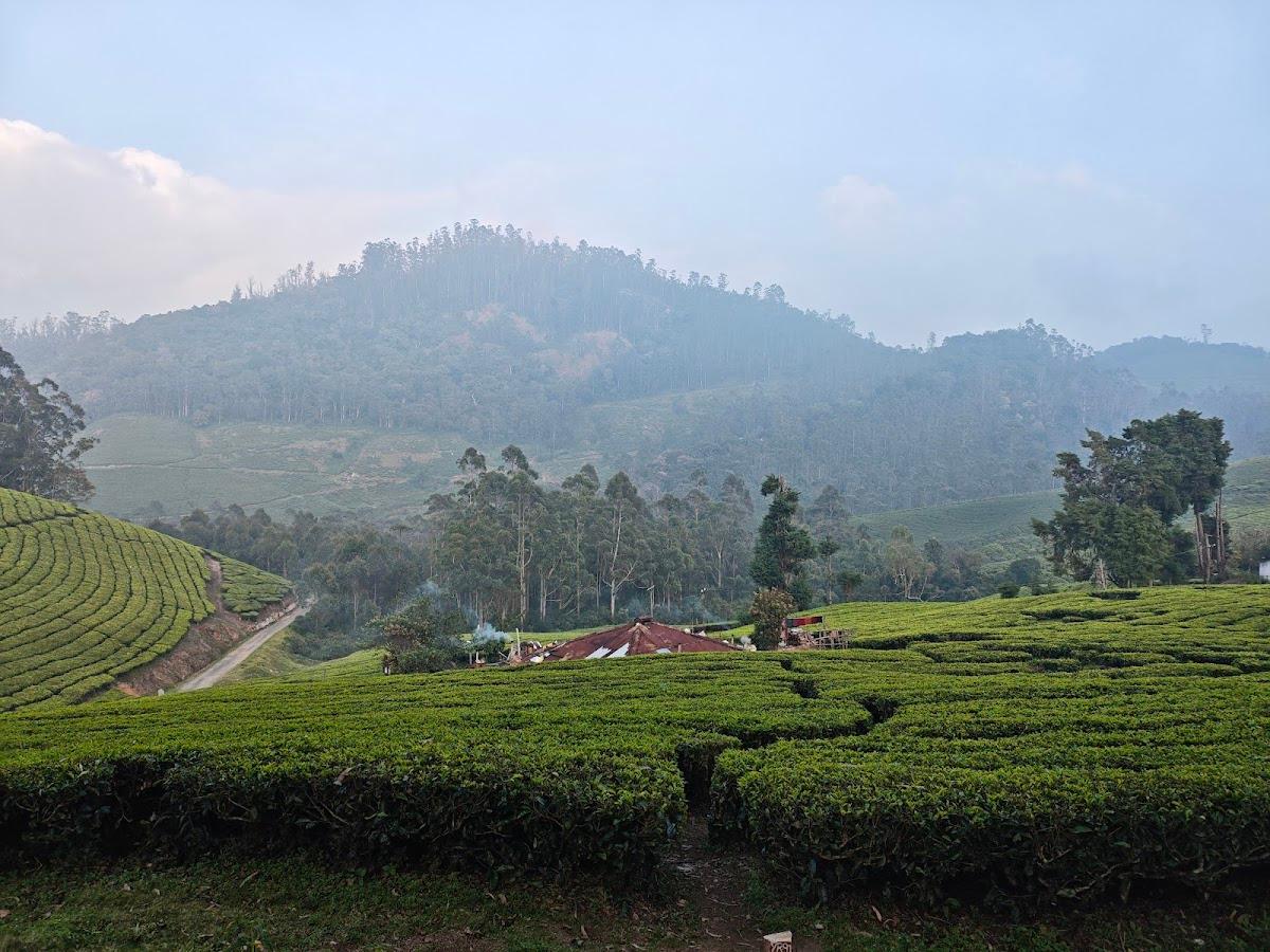 TCS Holiday Homes Munnar (Yellapatty Bunglow)