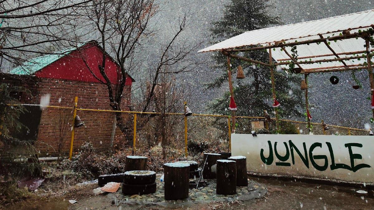 Jungle Hostel by Whoopers – photo 4