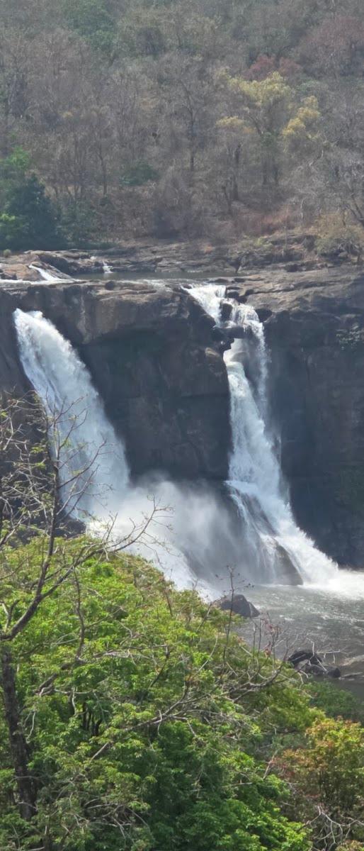 Flora Misty Falls Athirappilly – photo 3