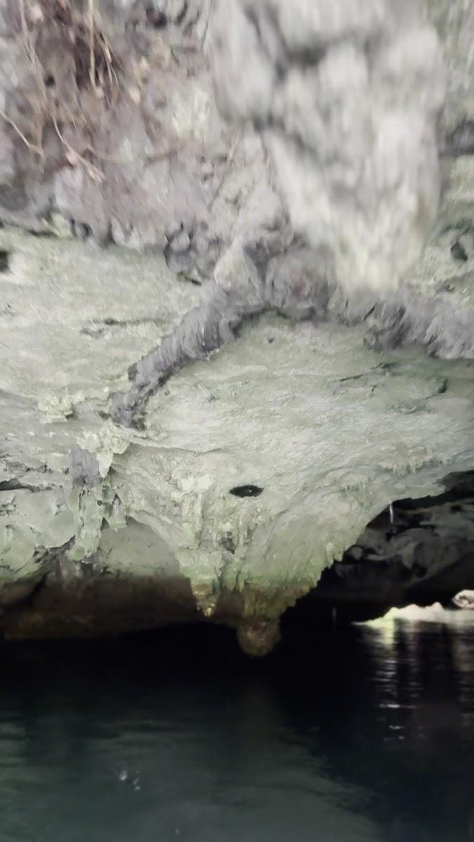 Yes Surf Siargao – photo 2
