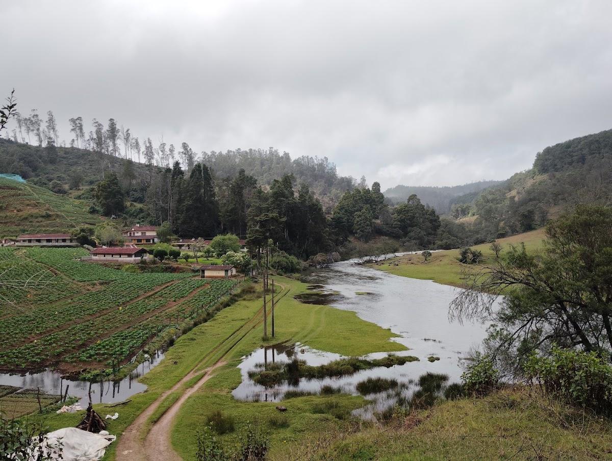 Parson Valley Retreat – photo 3