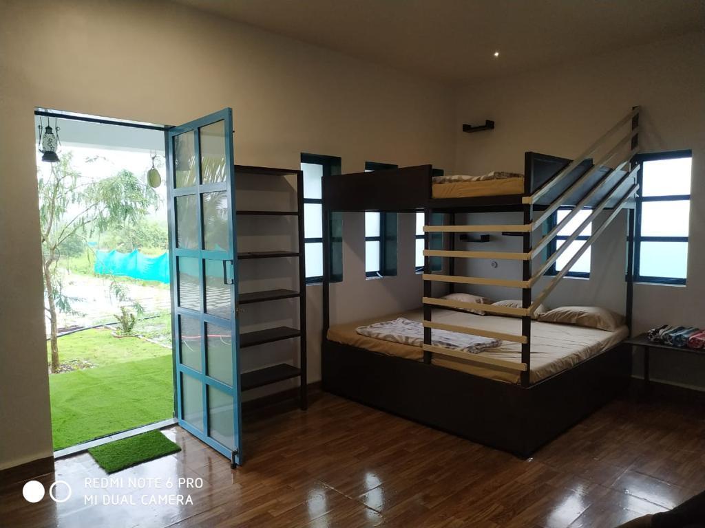 Green farm – photo 2