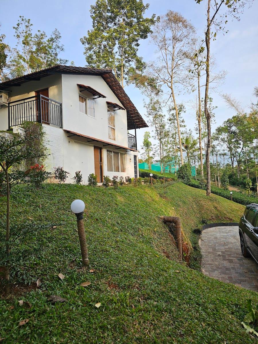 Tealawn Pool Villa Munnar – photo 4