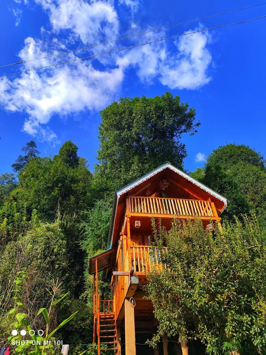 The Tree Top Treehouse - Best Treehouse in Jibhi Valley , Best Treehouse in Bahu – photo 1