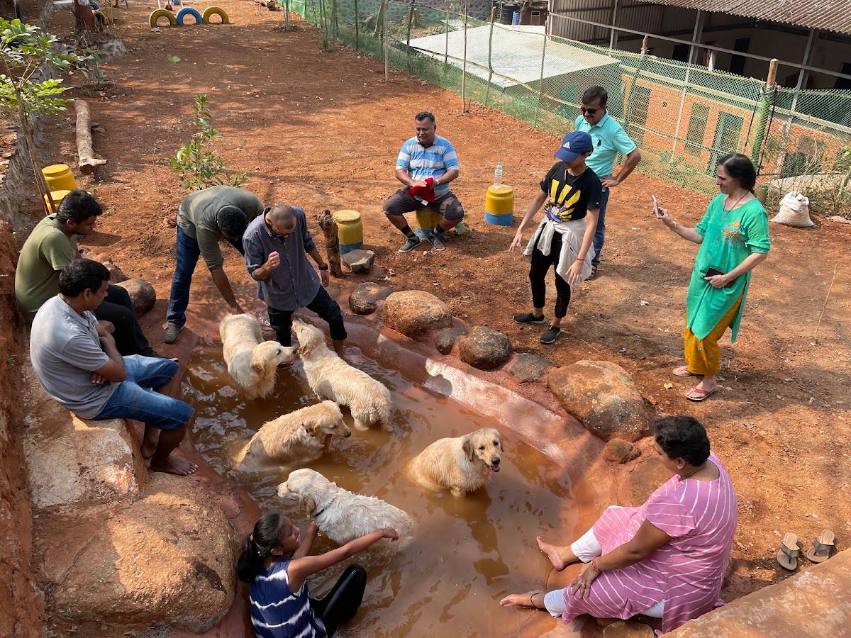 Joshibaug Urban Camping – photo 4