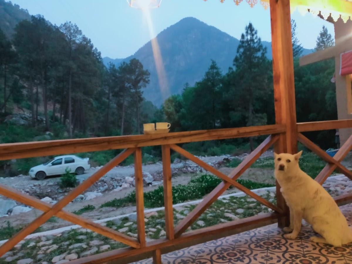 Jannat Riverfront Retreat X MylocalDost – photo 4
