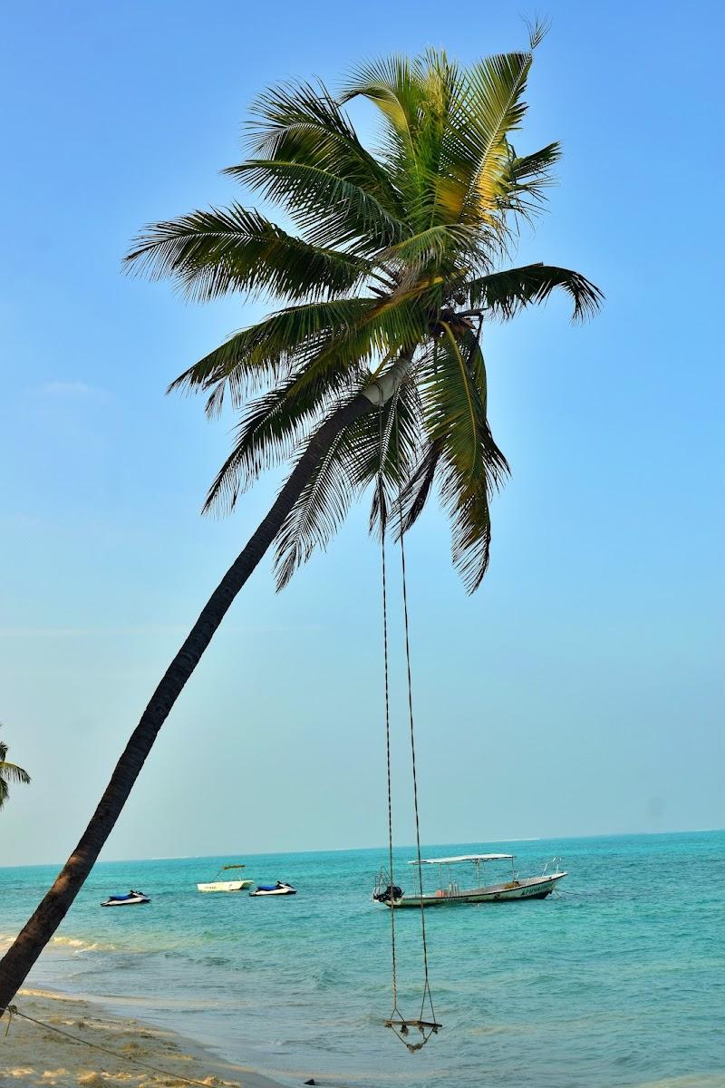 White Pearl Beach Resort Agatti – photo 2