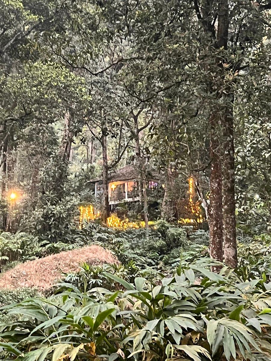 The Tall Trees Resorts – photo 3
