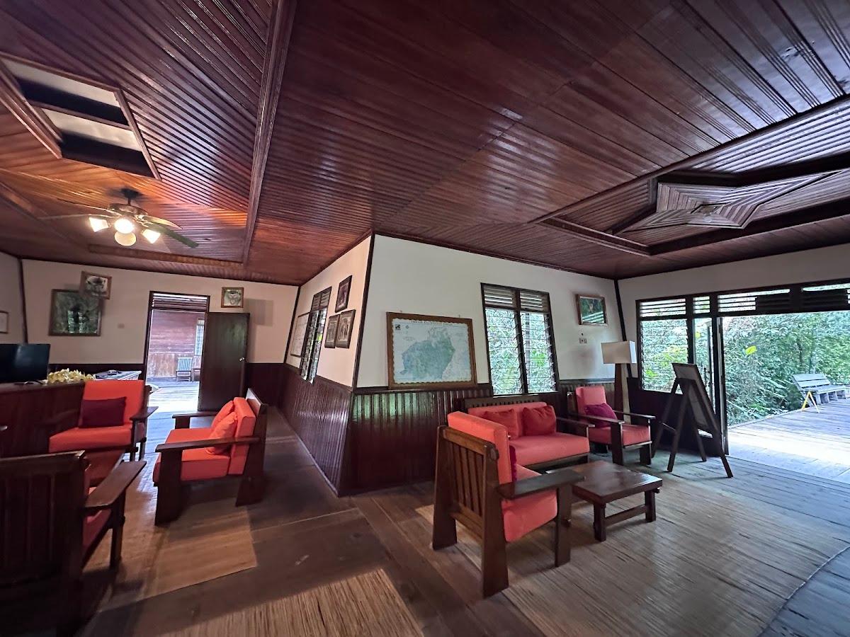 Rimba Orangutan Ecolodge – photo 3