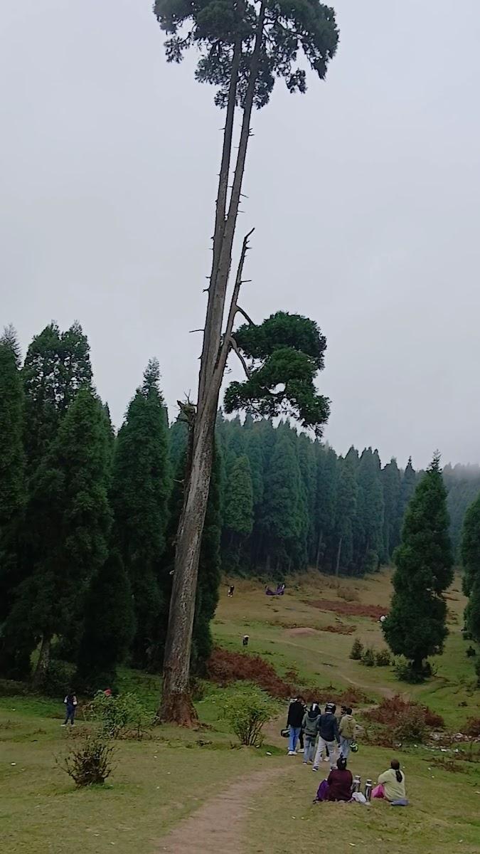 Majhidhura sukhia pokhari darjeeling – photo 3
