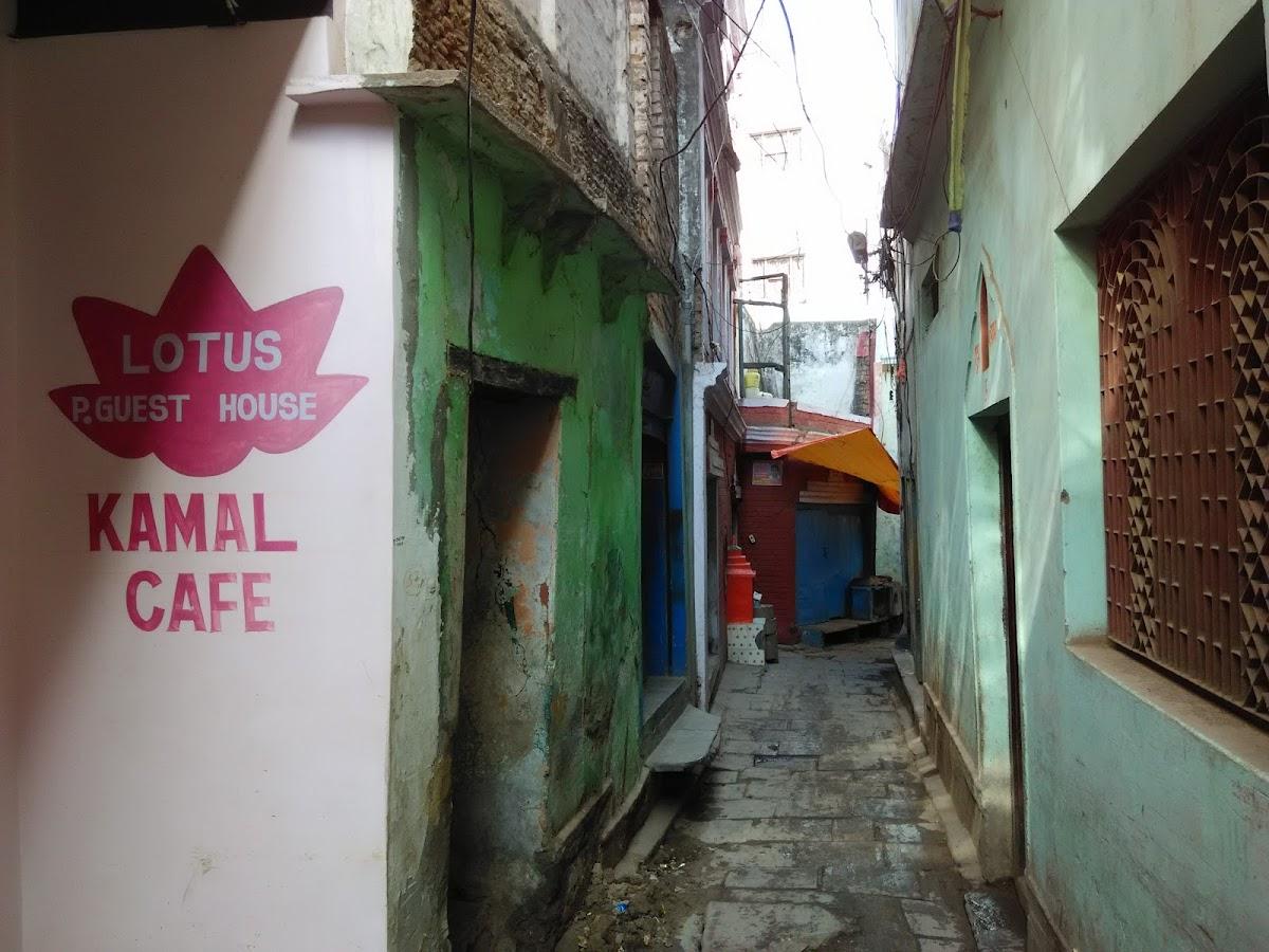 Lotus Paying Guesthouse – photo 4