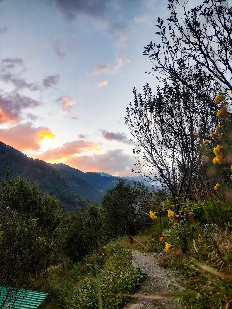 Gaddi Trails Eco Lodge – photo 3