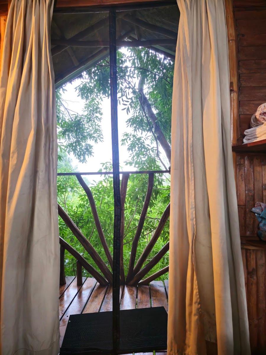 The Khaya Nest – photo 4