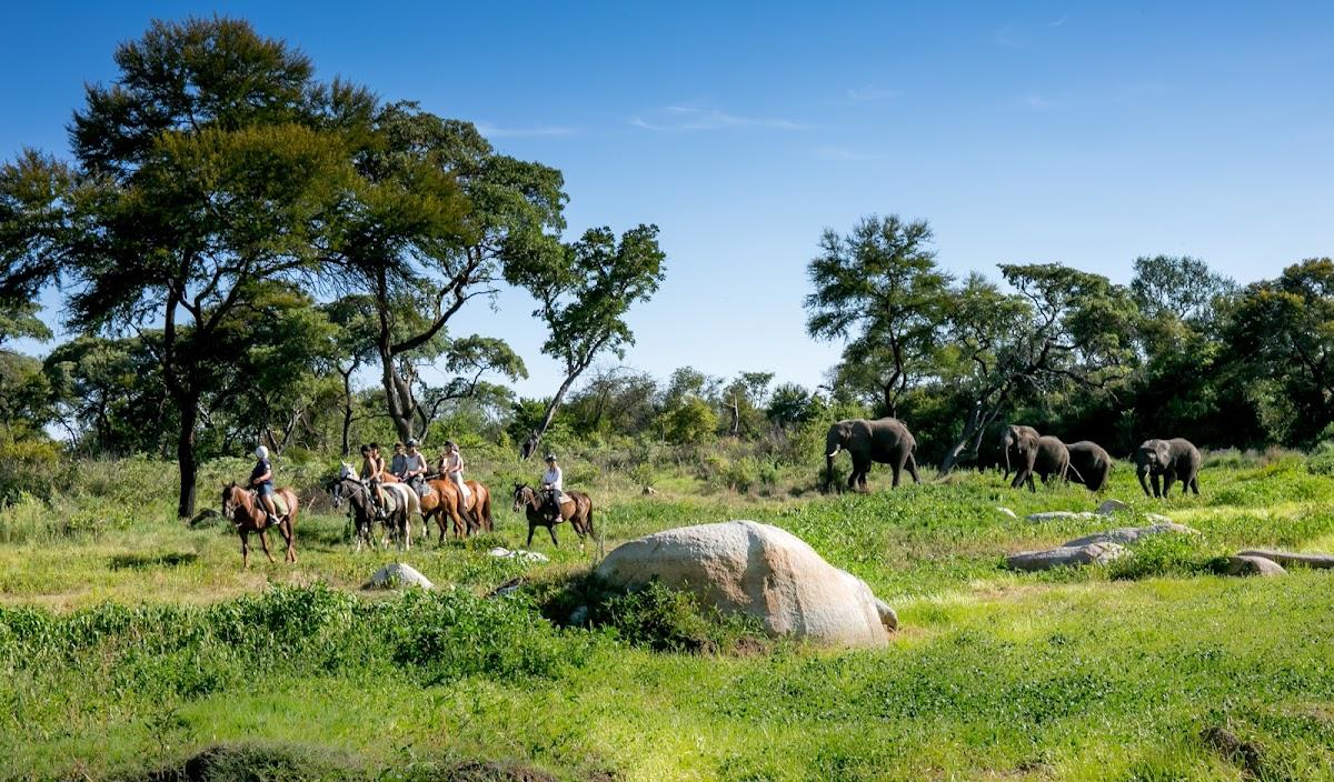 Antelope Park – photo 4