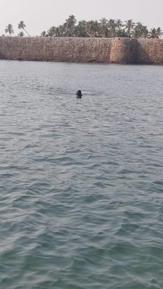 Sindhudurg home stay – photo 3