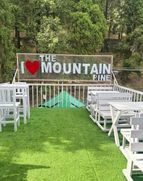the mountain pine – photo 4