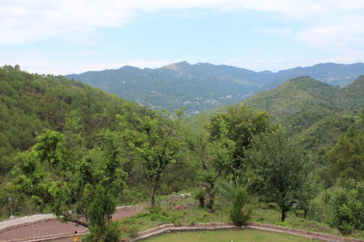The Hideaway Cottage – photo 4
