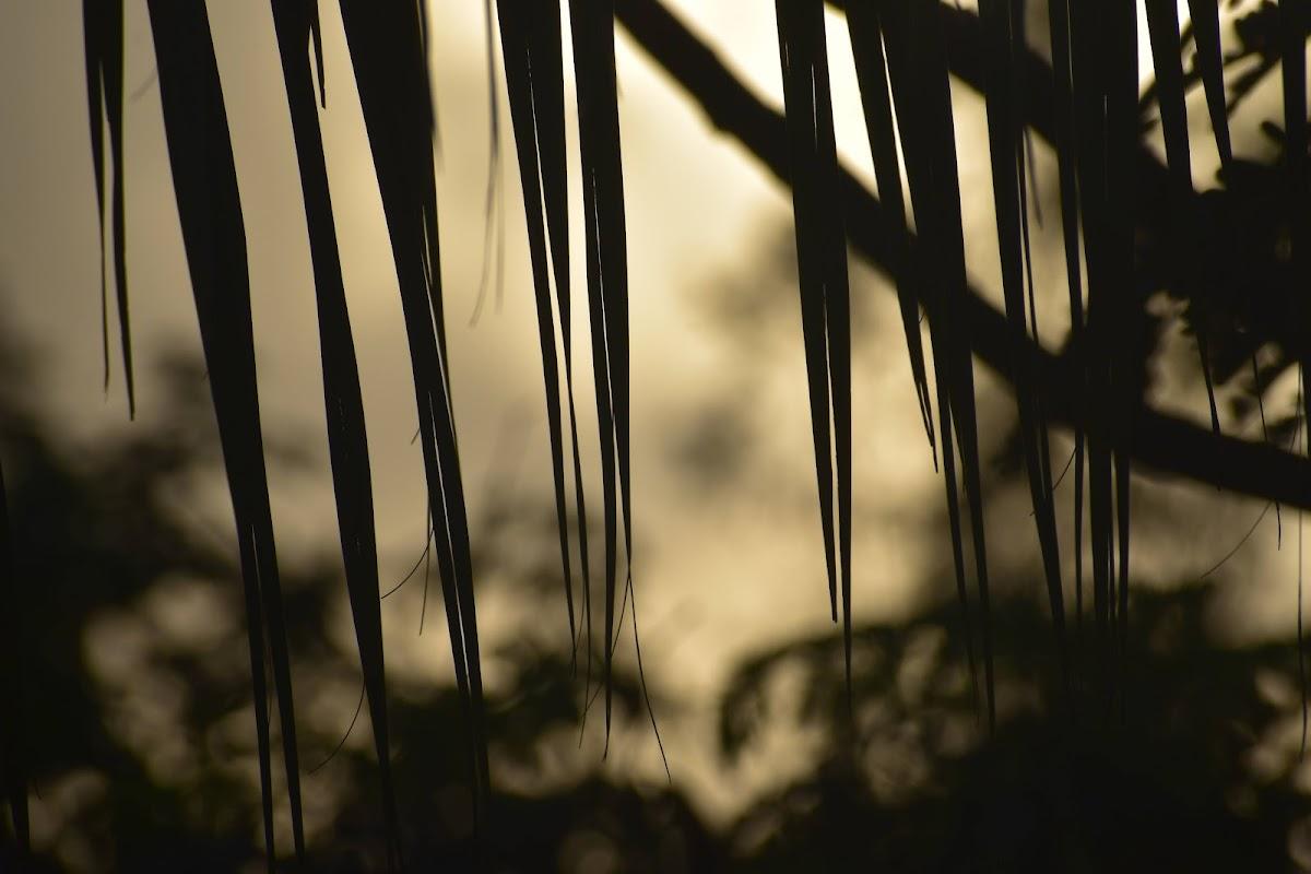 Imperial Villa lonavala – photo 2