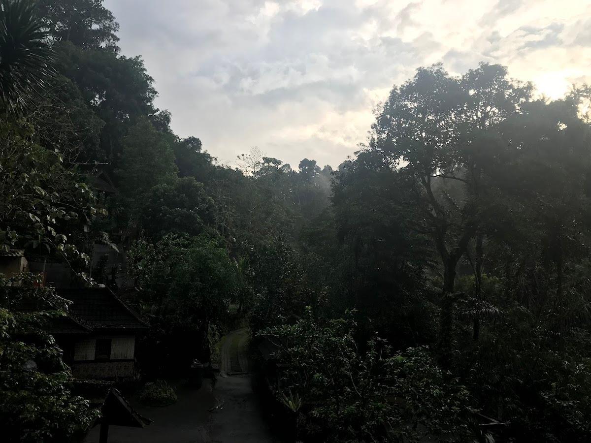 Bali Jungle Resort – photo 3
