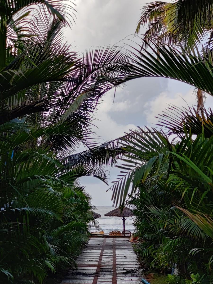 Agonda Shell Beach Resort – photo 3