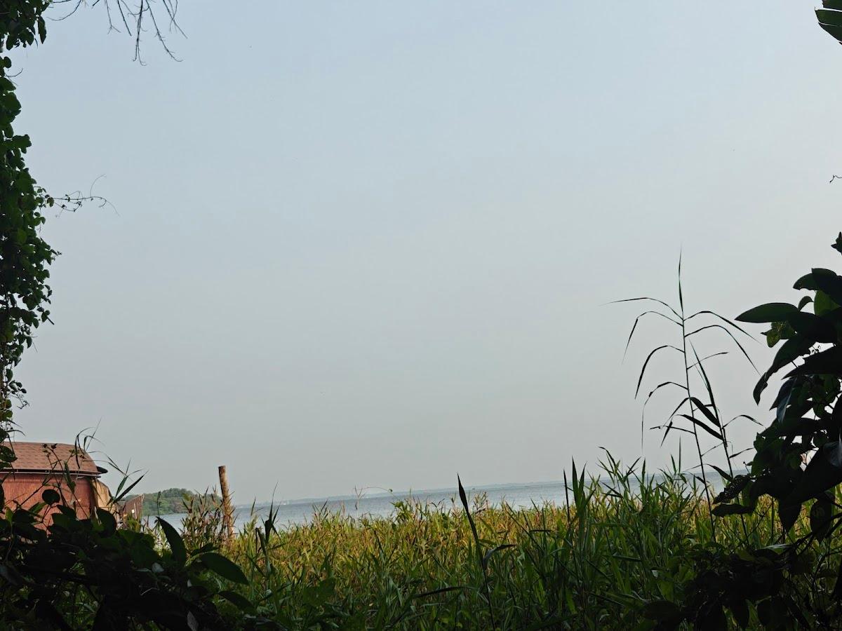 Vanam