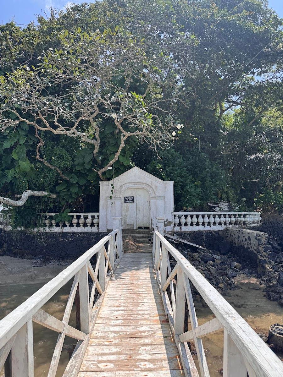Taprobane Island – photo 1