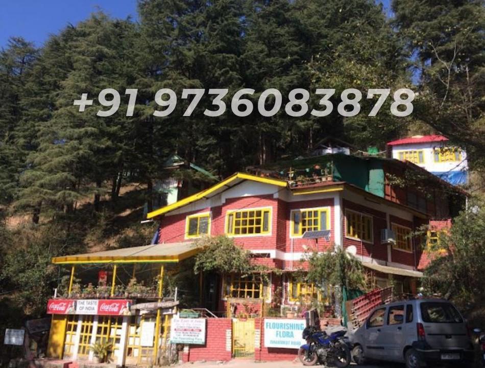 Mcleodganj Bed & Breakfast – photo 1