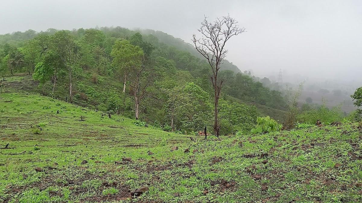 VISHALKhadi Eco Campsite