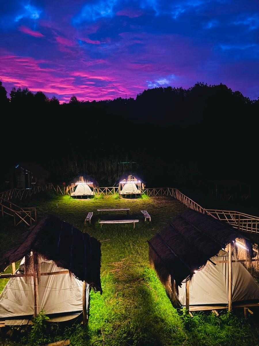 Willowwoods camping