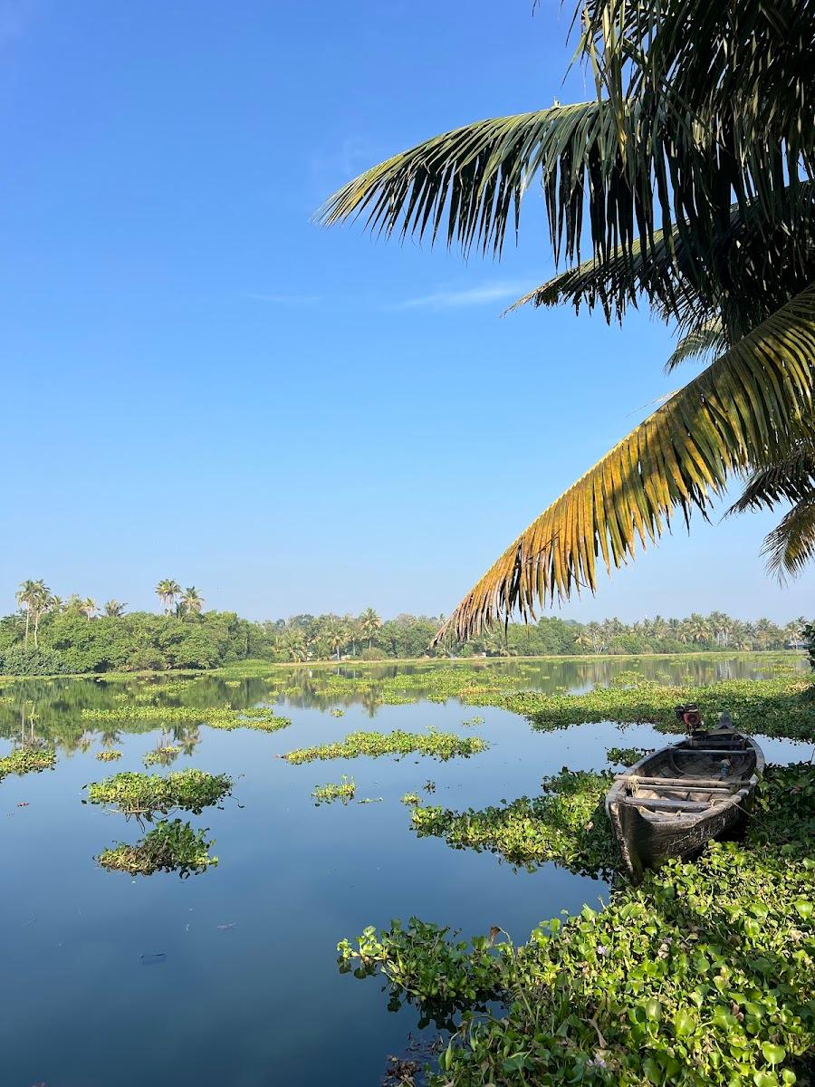 Kayal Island Retreat – photo 3