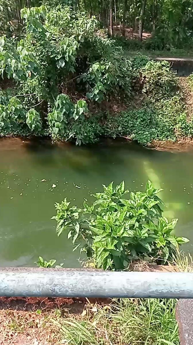 Thodupuzha – photo 3