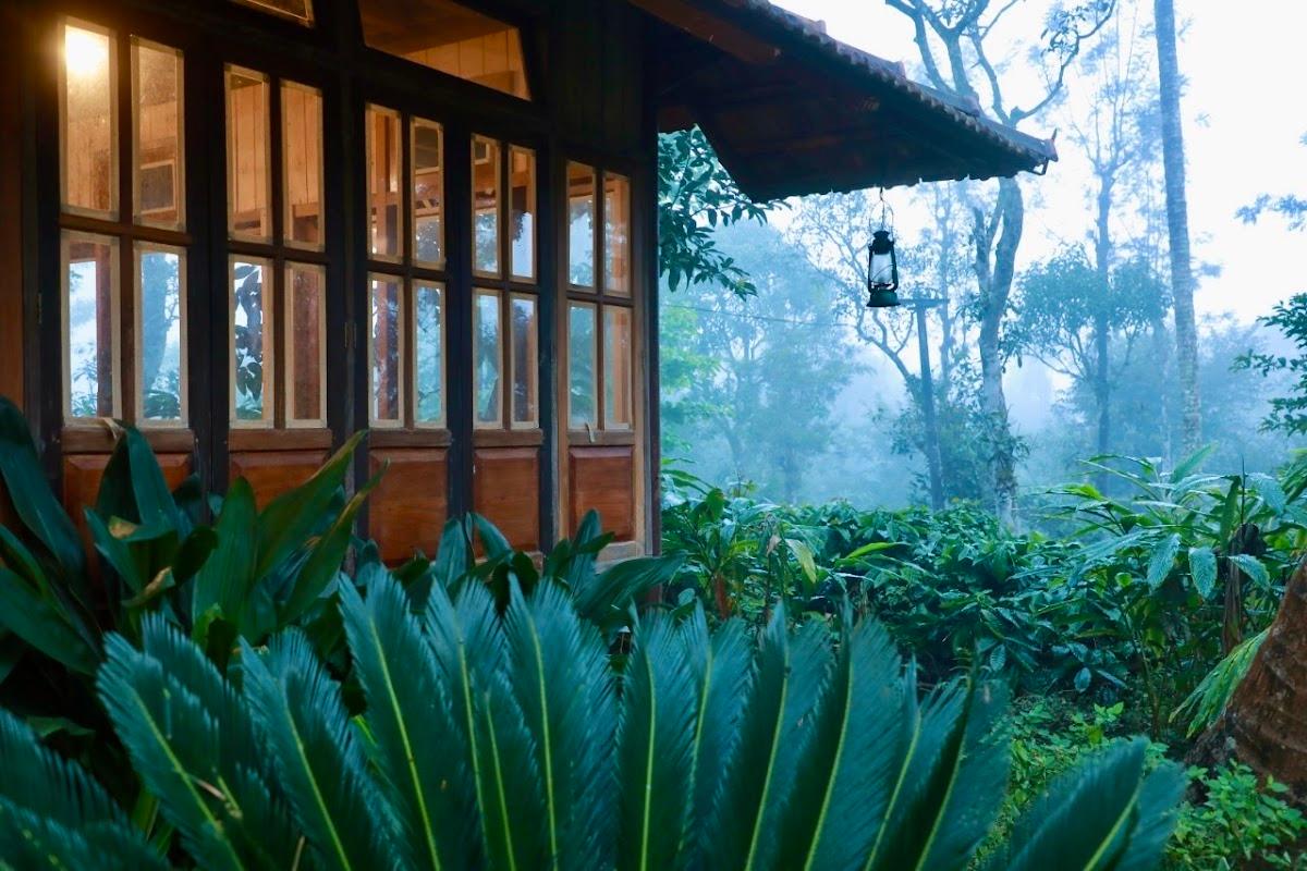Aranyakam homestay – photo 1