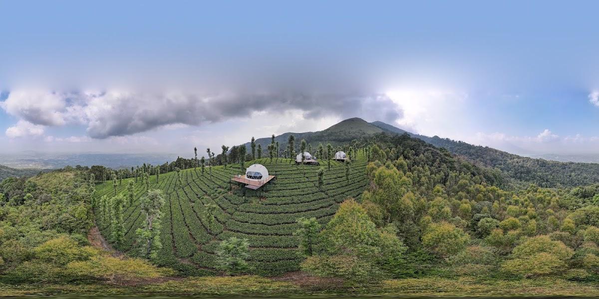 Vythiri Tea Valley – photo 2