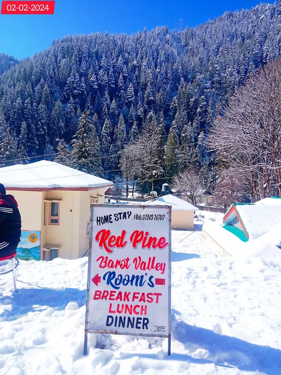 Red Pine Guest House Barot Valley – photo 1