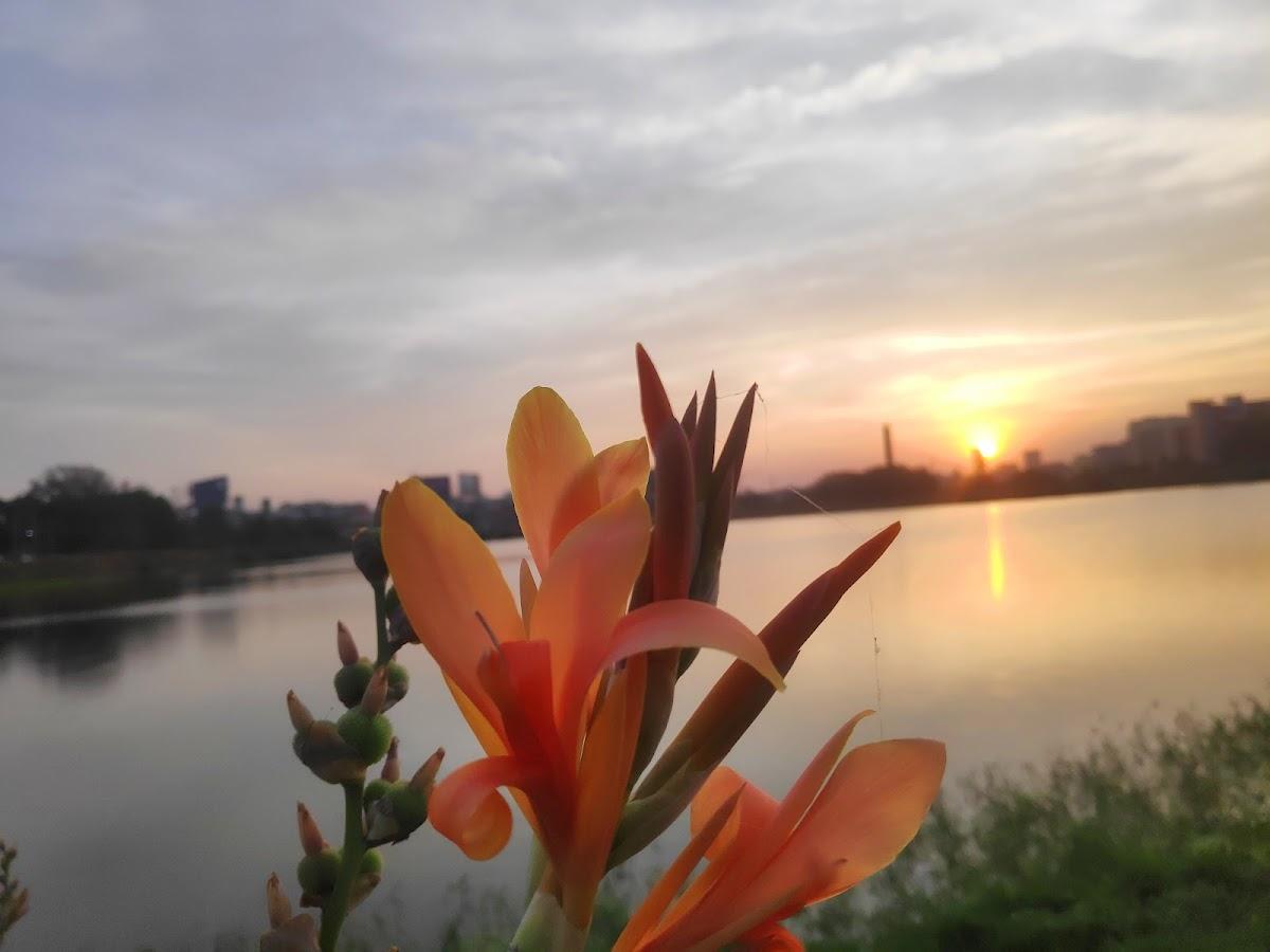 Bommasandra – photo 3