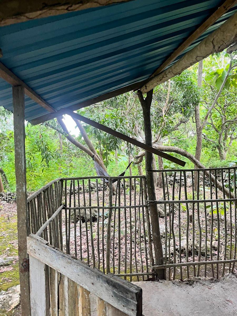 Rumah Pohon – photo 3