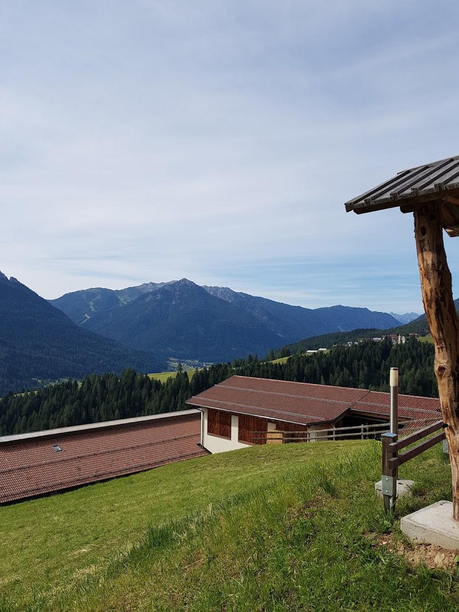 Majon Da Mont