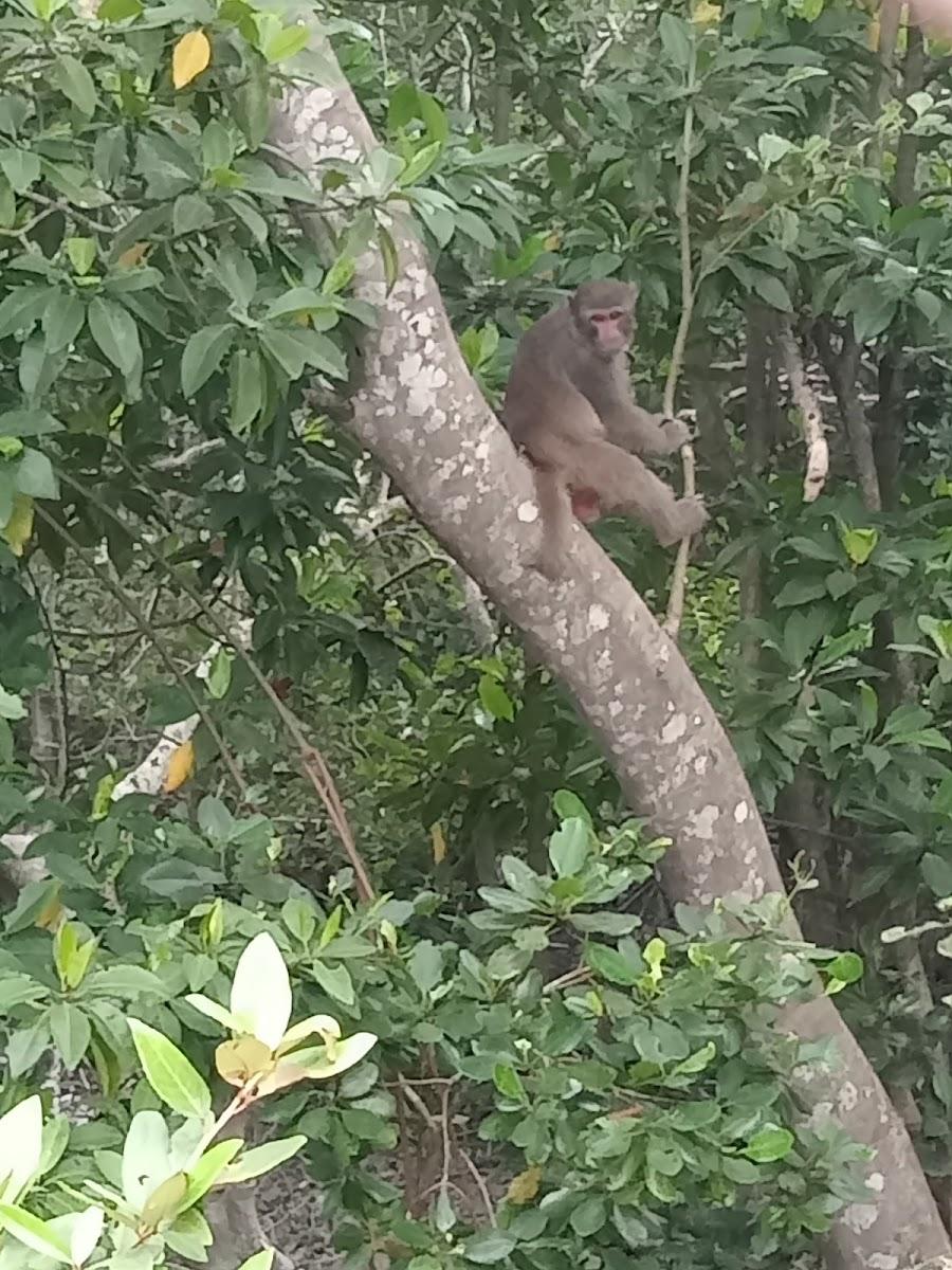 Sundarban Riverside Holiday Resort – photo 1