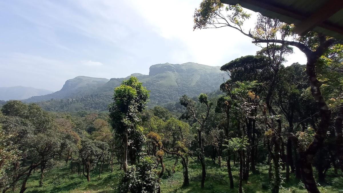 Misty megur homestay – photo 2