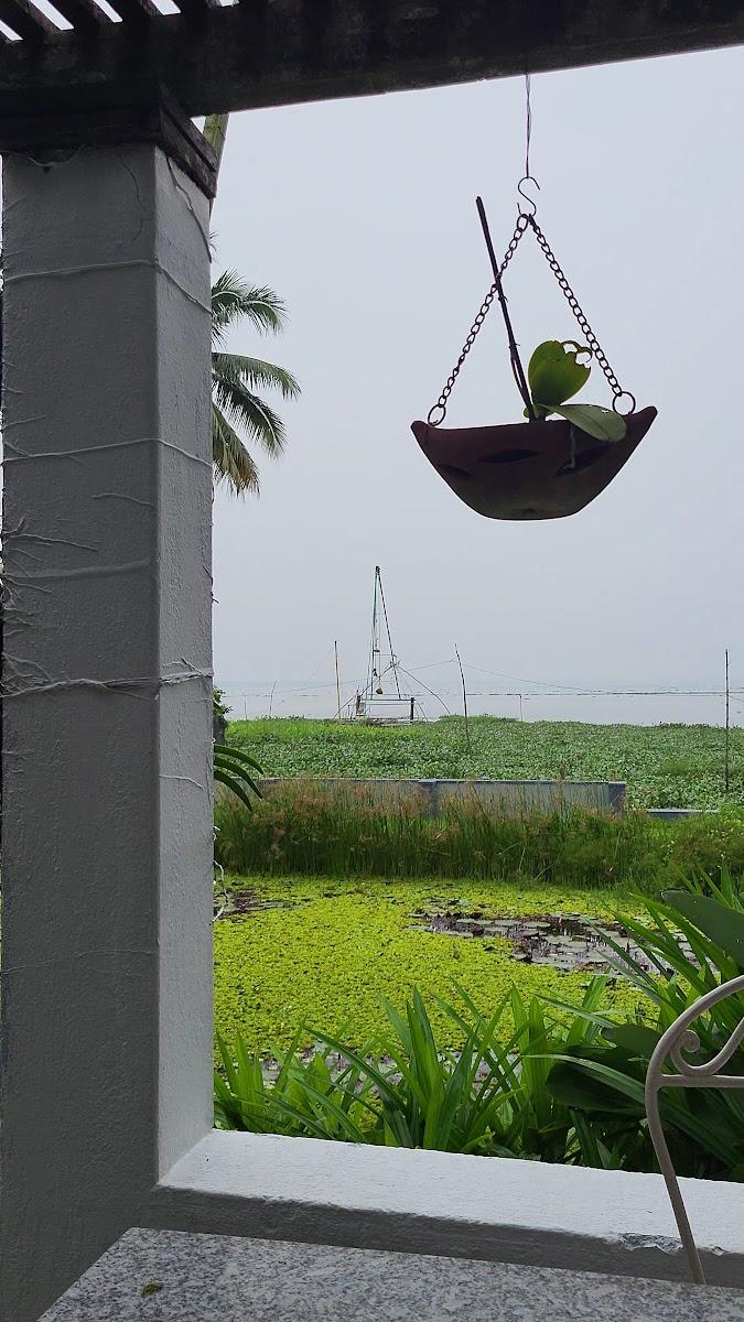 Hibiscus Villa - CGH Earth Saha – photo 4