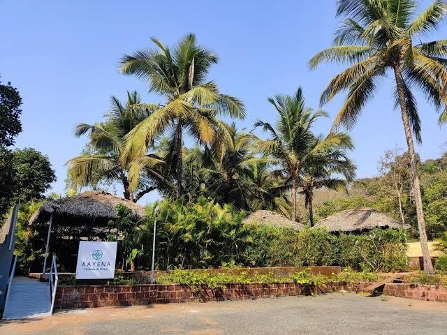 De Garland, Palolem - AM Hotel Kollection – photo 4