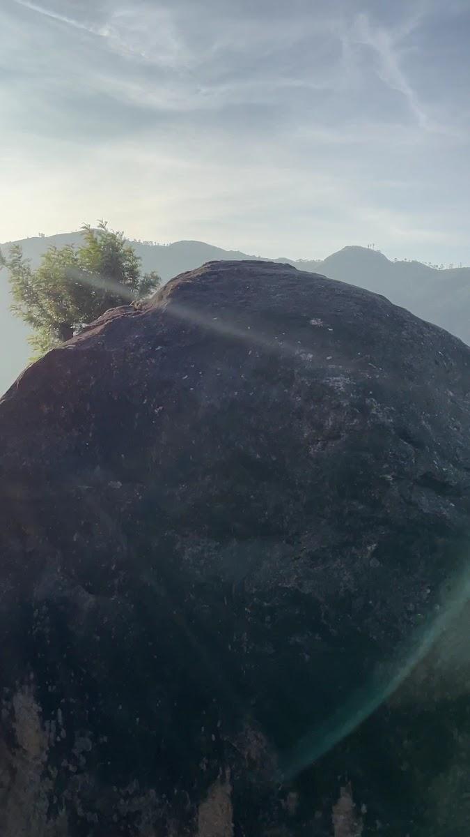 Munnar Resort – photo 2