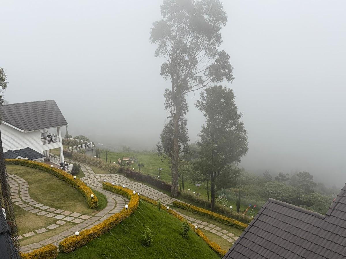 Petals Nilgiris – photo 3