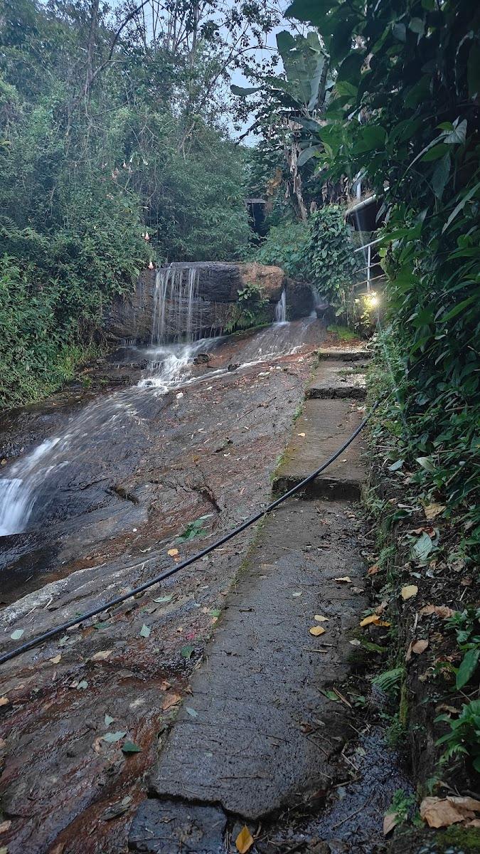 Whispering Falls Resort Valparai – photo 4